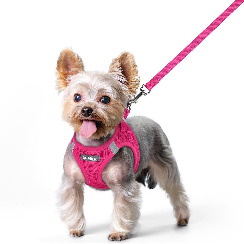 Rabbitgoo Small Dog Harness &Leash Set Step In Breathable Mesh Vest Reflective